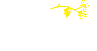 ÉCO VTC DES LANDES